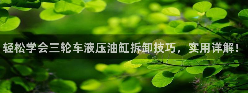 澳门威斯人手机app下载每日互动